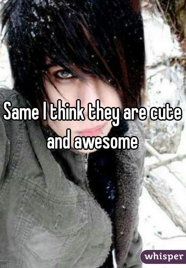 Same I think they are cute and awesome 