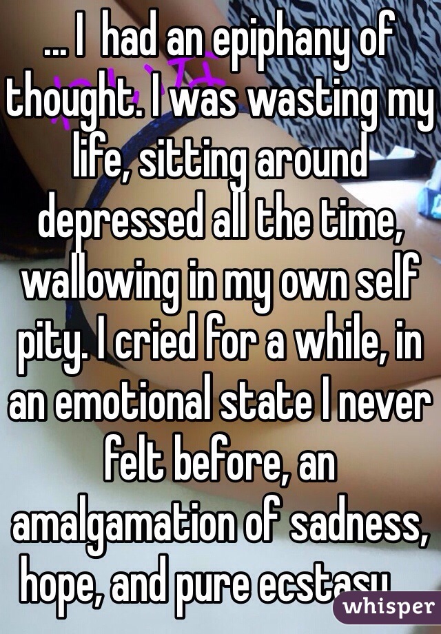 ... I  had an epiphany of thought. I was wasting my life, sitting around depressed all the time, wallowing in my own self pity. I cried for a while, in an emotional state I never felt before, an amalgamation of sadness, hope, and pure ecstasy....