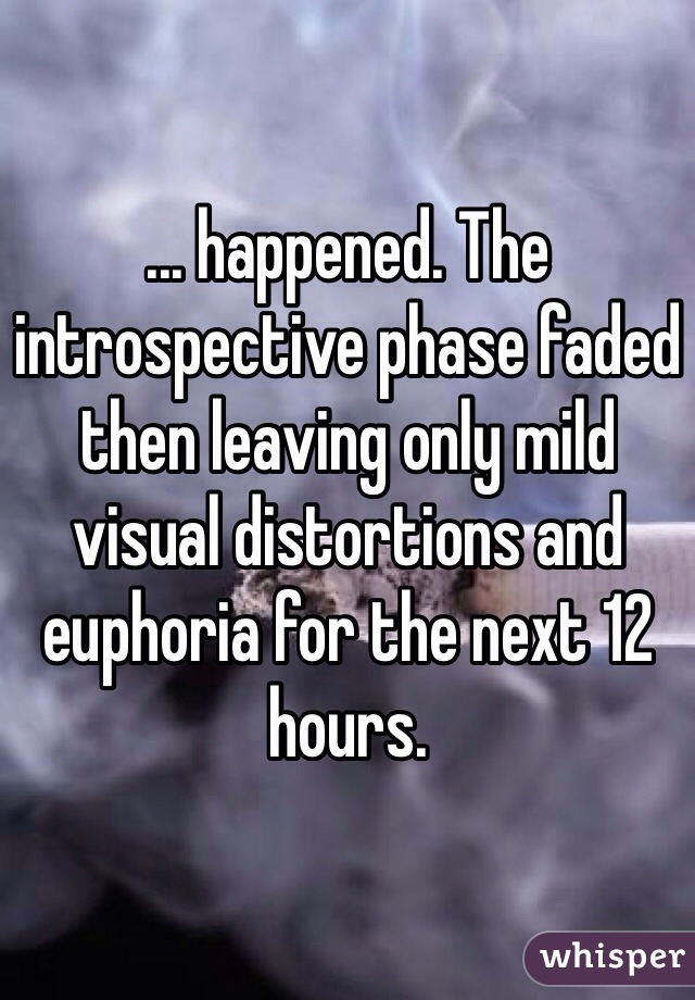 ... happened. The introspective phase faded then leaving only mild visual distortions and euphoria for the next 12 hours.