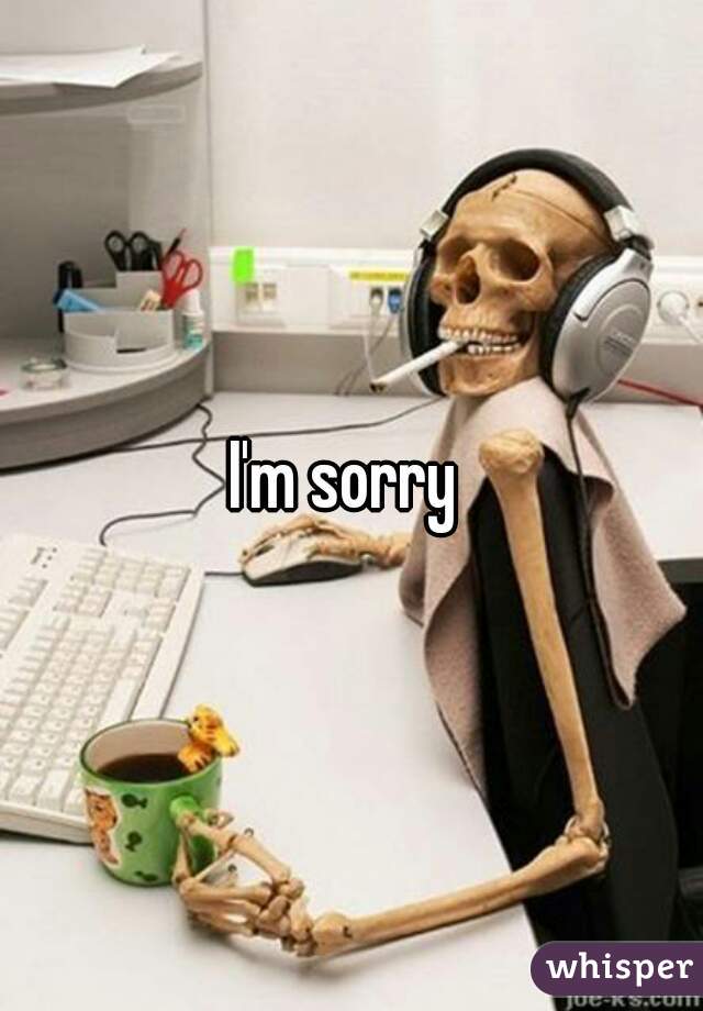 I'm sorry 