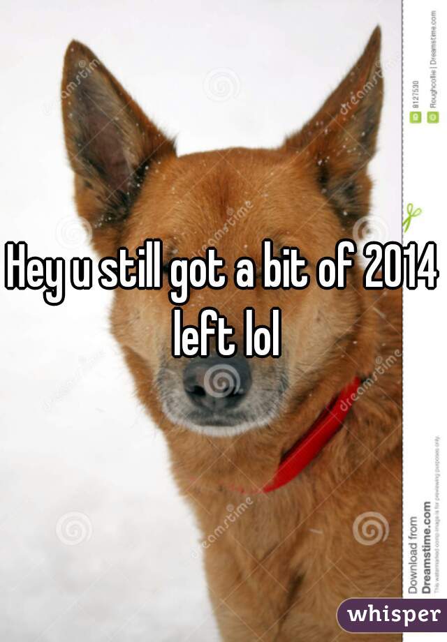 Hey u still got a bit of 2014 left lol