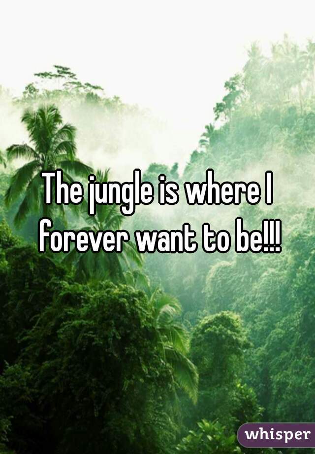 The jungle is where I forever want to be!!!