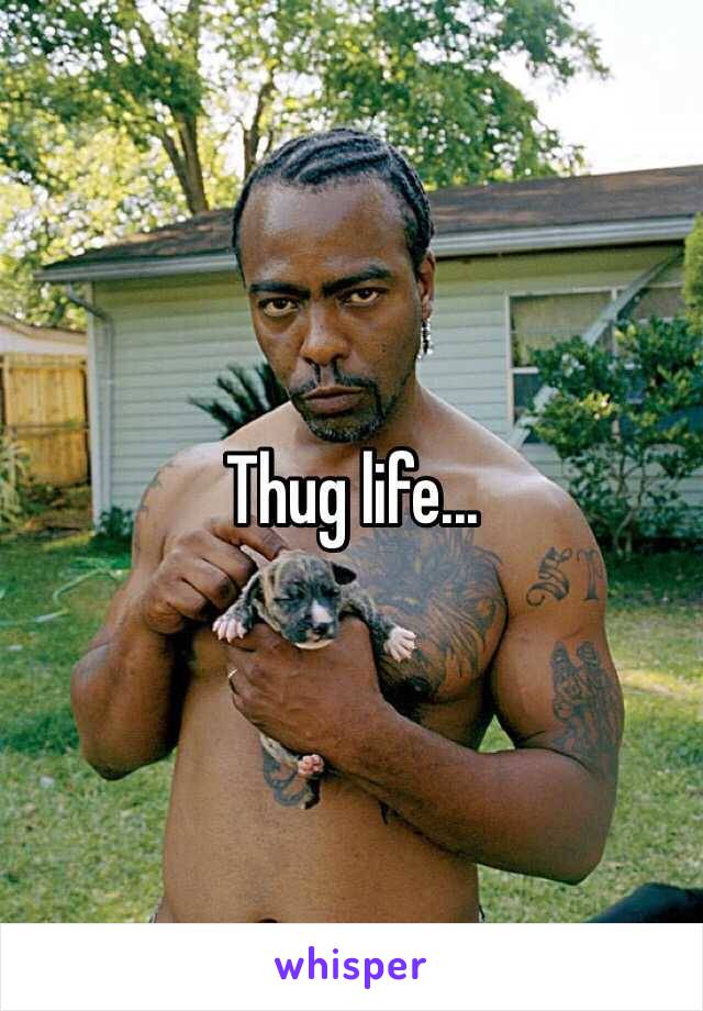Thug life...