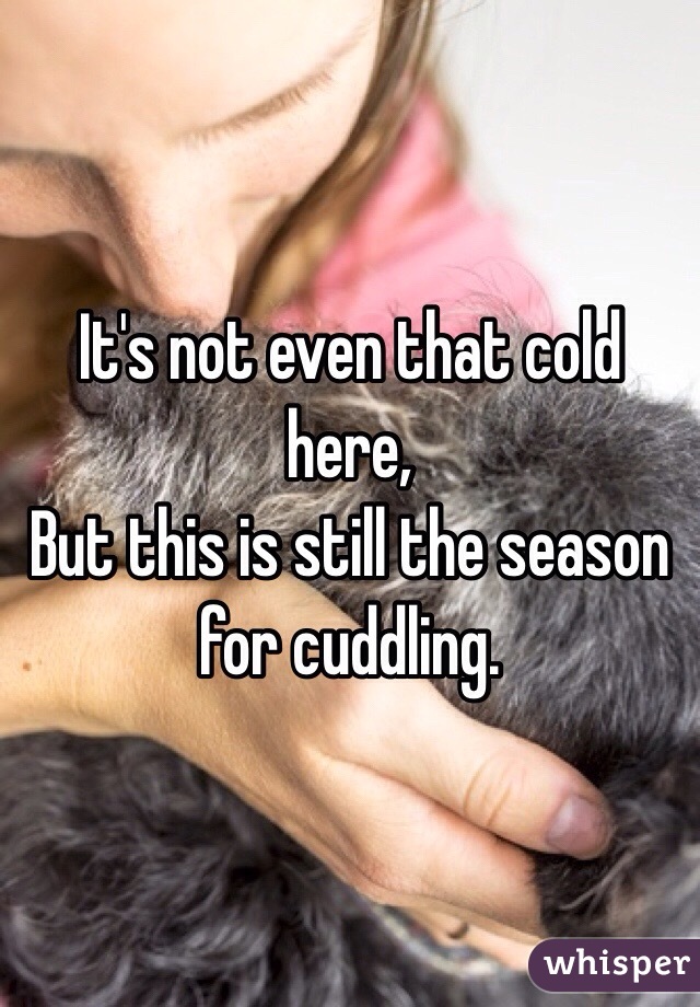 It's not even that cold here,
But this is still the season for cuddling. 
