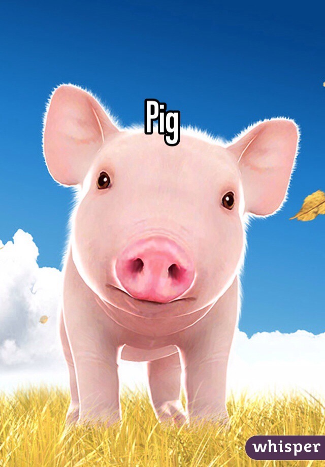 Pig