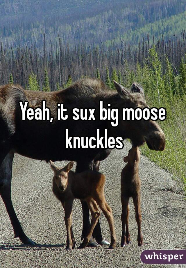 Yeah, it sux big moose knuckles