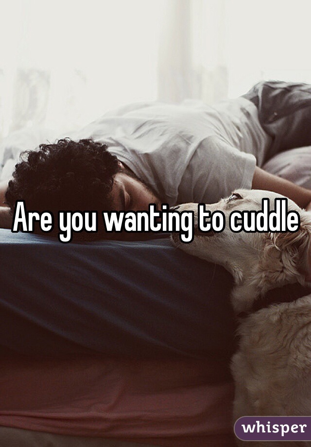 Are you wanting to cuddle 