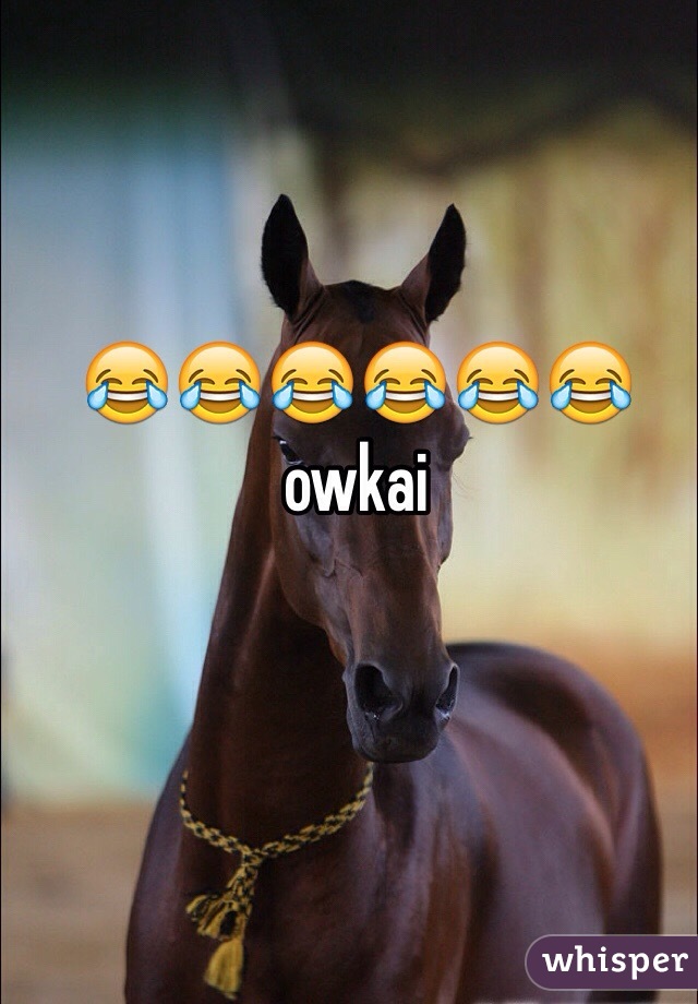 😂😂😂😂😂😂 owkai