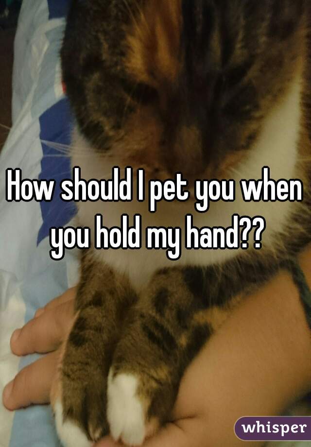 How should I pet you when you hold my hand??