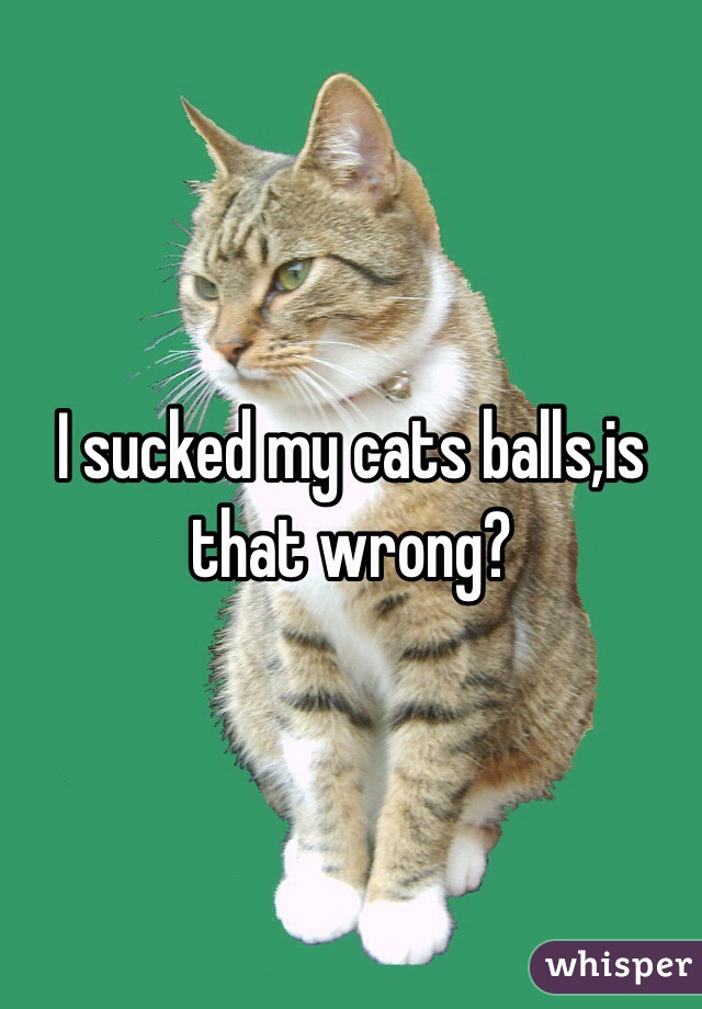 I sucked my cats balls,is that wrong?
