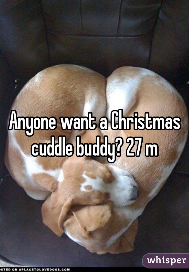 Anyone want a Christmas cuddle buddy? 27 m
