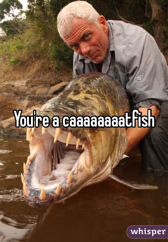 You're a caaaaaaaatfish