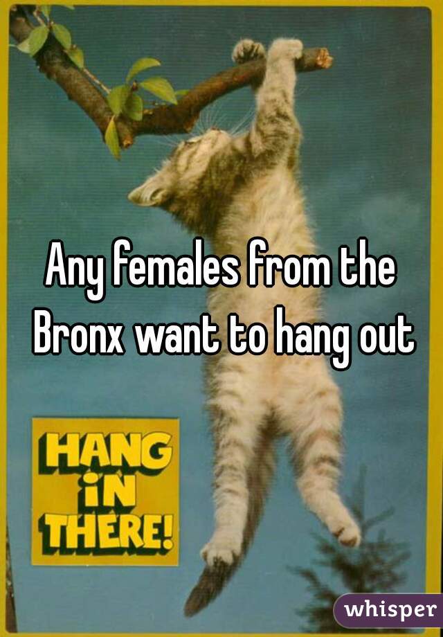 Any females from the Bronx want to hang out
