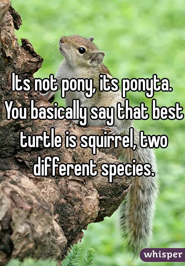 Its not pony, its ponyta. You basically say that best turtle is squirrel, two different species.