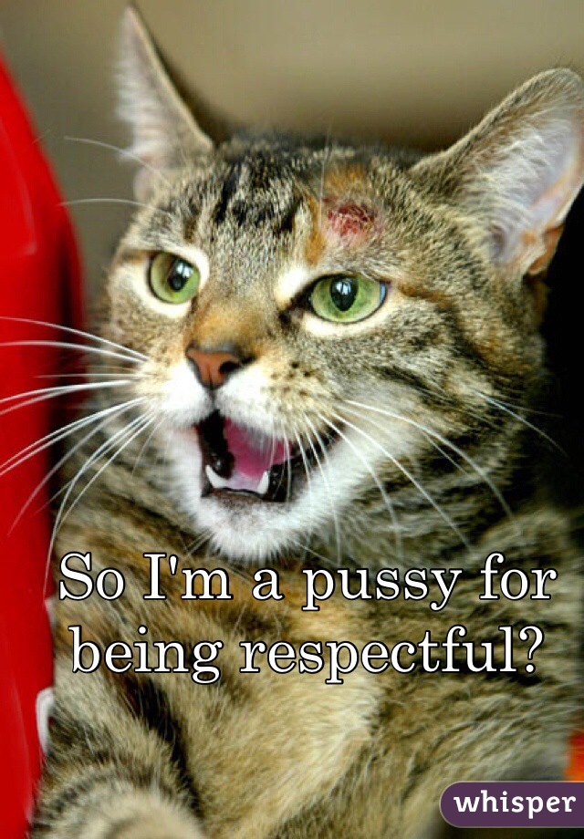 So I'm a pussy for being respectful?