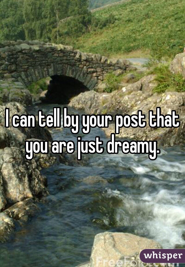 I can tell by your post that you are just dreamy. 