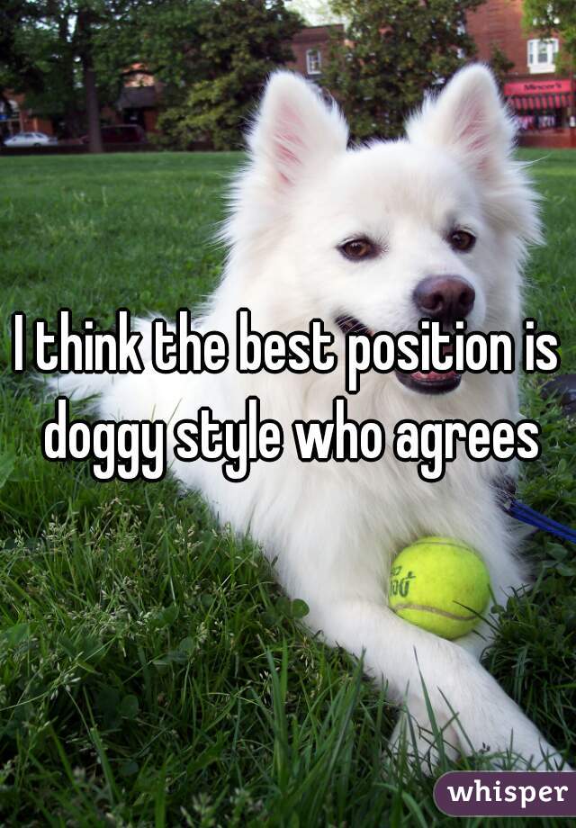 I think the best position is doggy style who agrees