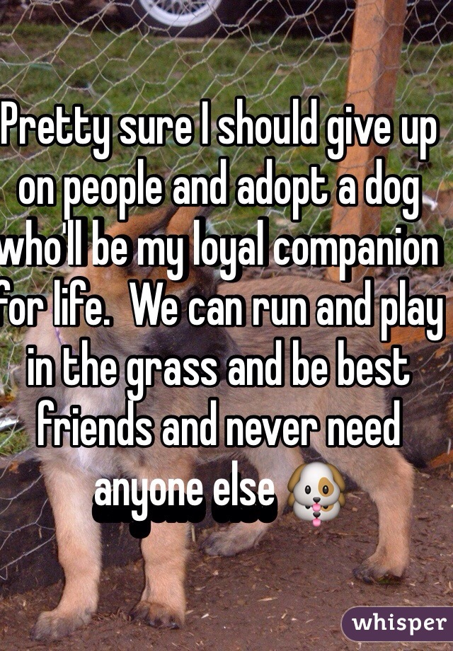 Pretty sure I should give up on people and adopt a dog who'll be my loyal companion for life.  We can run and play in the grass and be best friends and never need anyone else 🐶 