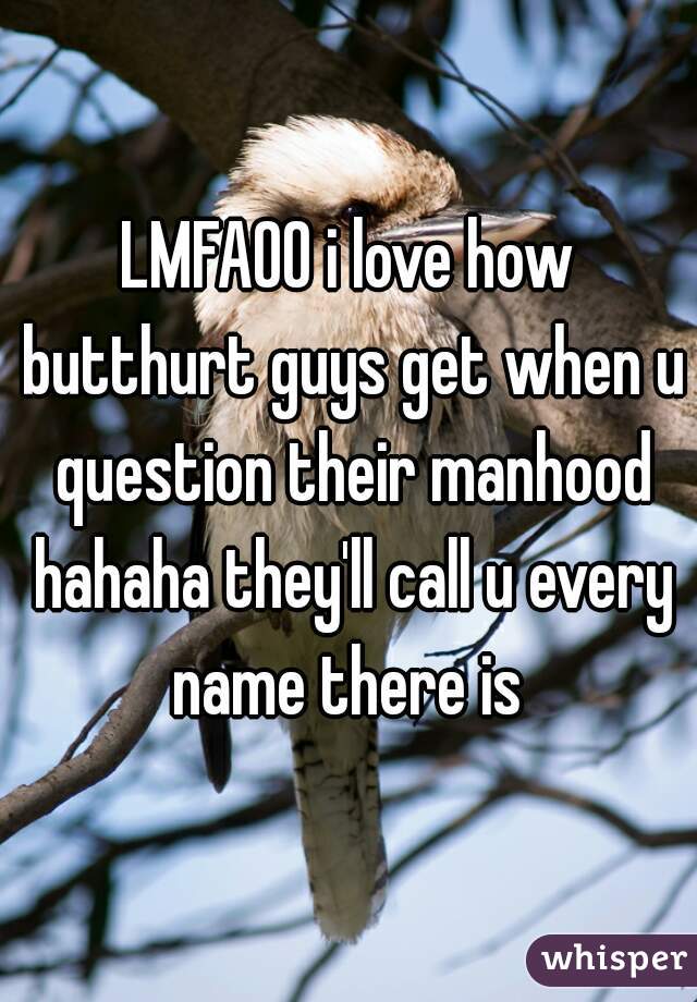 LMFAOO i love how butthurt guys get when u question their manhood hahaha they'll call u every name there is 