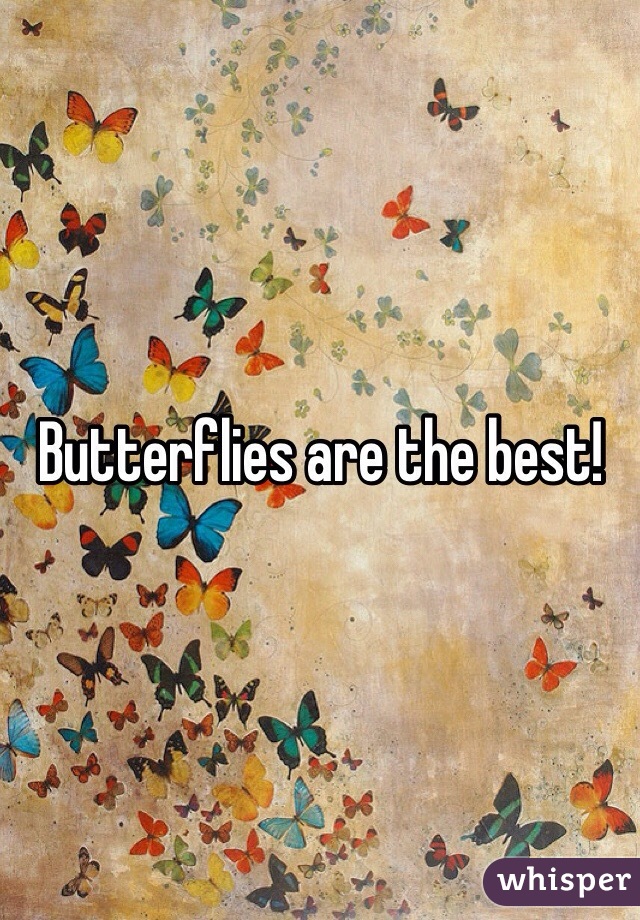 Butterflies are the best! 