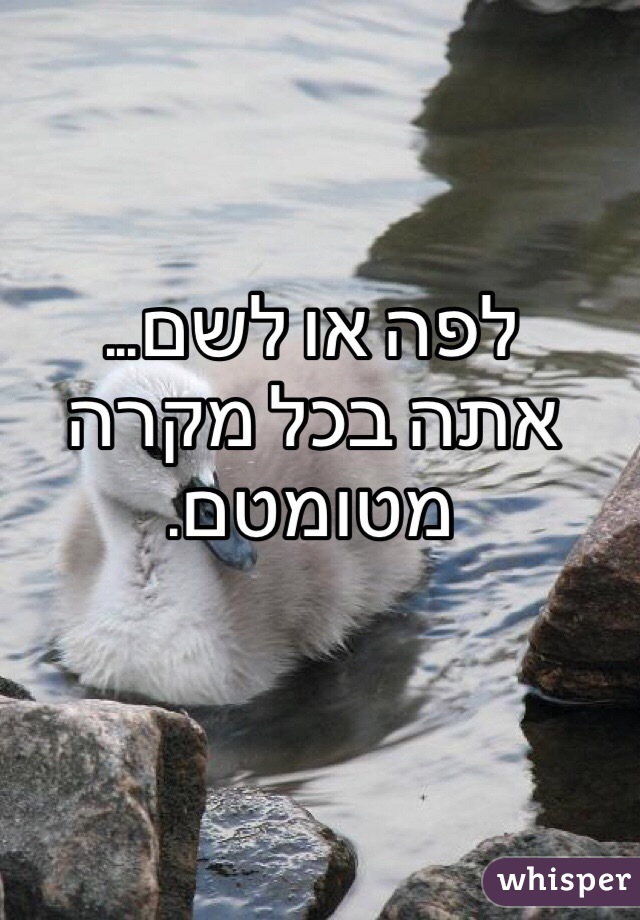 לפה או לשם...
אתה בכל מקרה מטומטם.