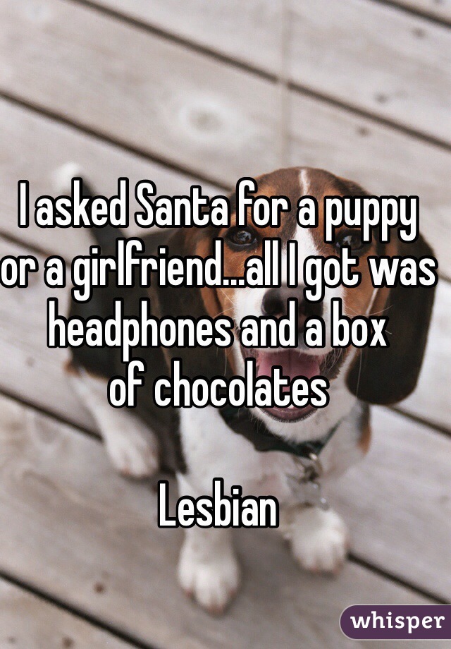 I asked Santa for a puppy 
or a girlfriend...all I got was headphones and a box 
of chocolates

Lesbian