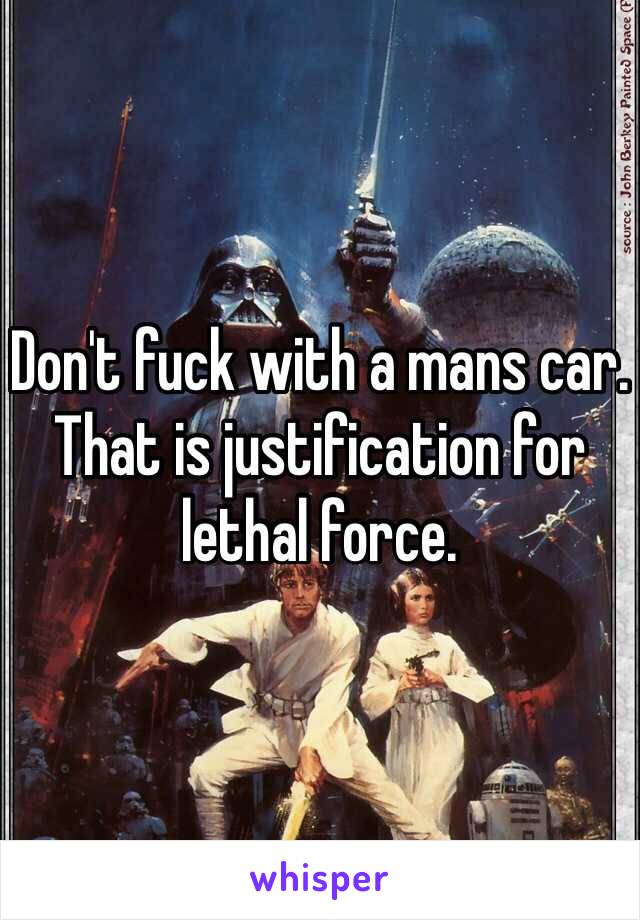 Don't fuck with a mans car. That is justification for lethal force.