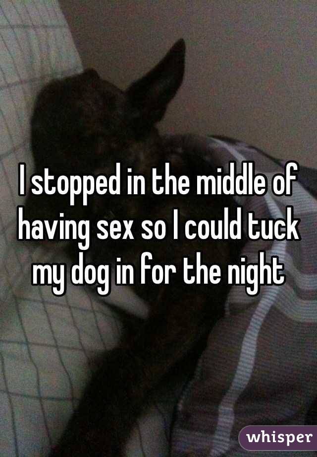 I stopped in the middle of having sex so I could tuck my dog in for the night 