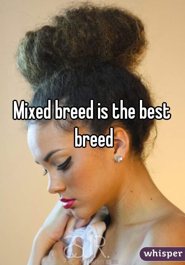 Mixed breed is the best breed