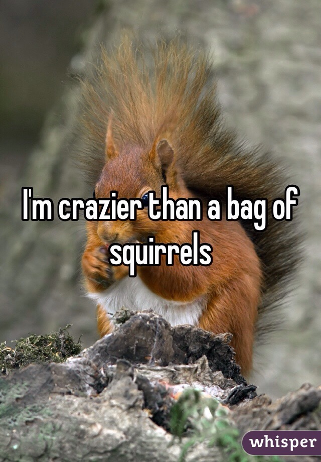 I'm crazier than a bag of squirrels