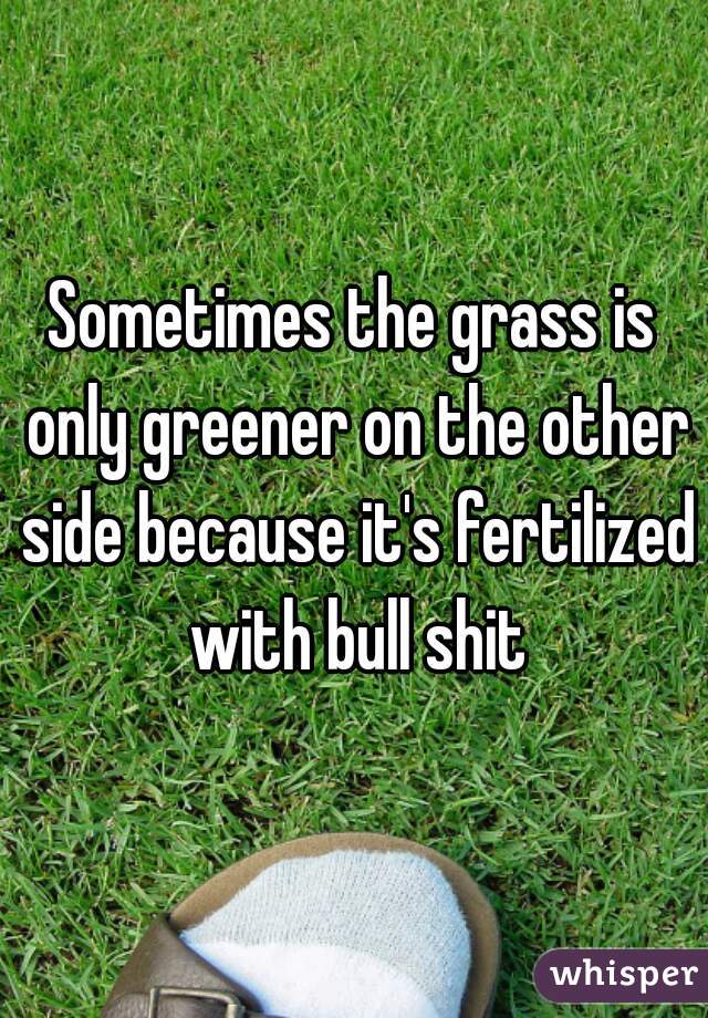 Sometimes the grass is only greener on the other side because it's fertilized with bull shit