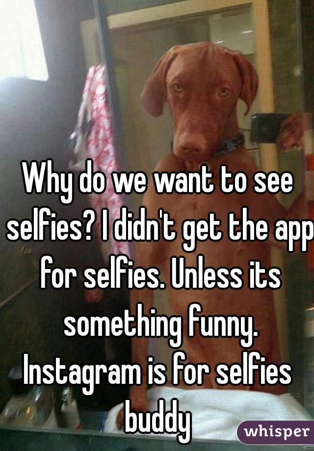 Why do we want to see selfies? I didn't get the app for selfies. Unless its something funny.
Instagram is for selfies buddy 