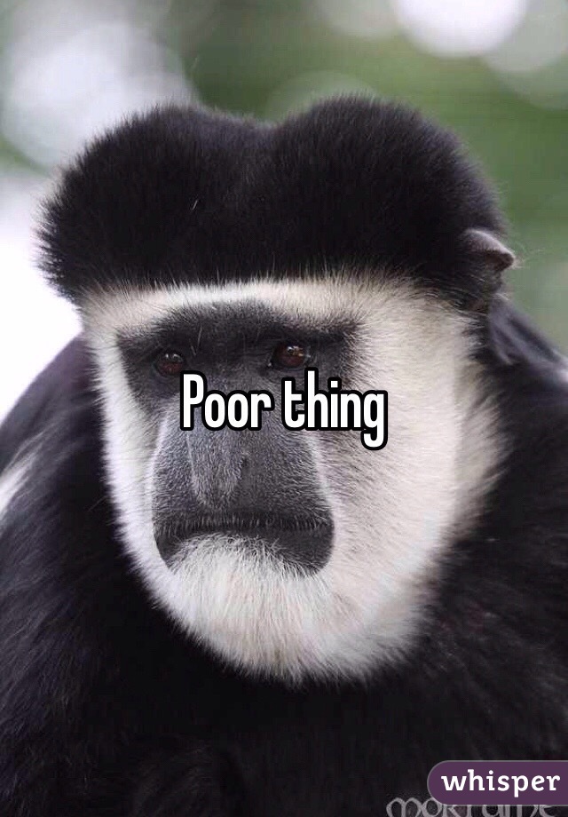 Other Ways To Say You Poor Thing