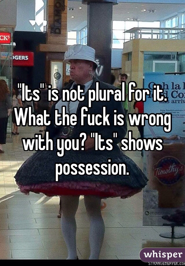 "Its" is not plural for it. What the fuck is wrong with you? "Its" shows possession. 