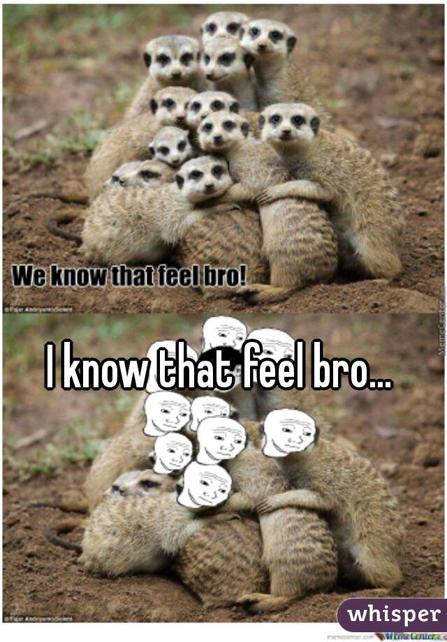 I know that feel bro...