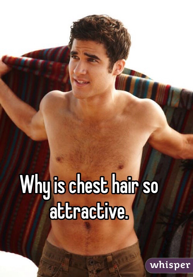 292 Is Chest Hair Attractive Photos and Premium High Res Pictures  Getty  Images