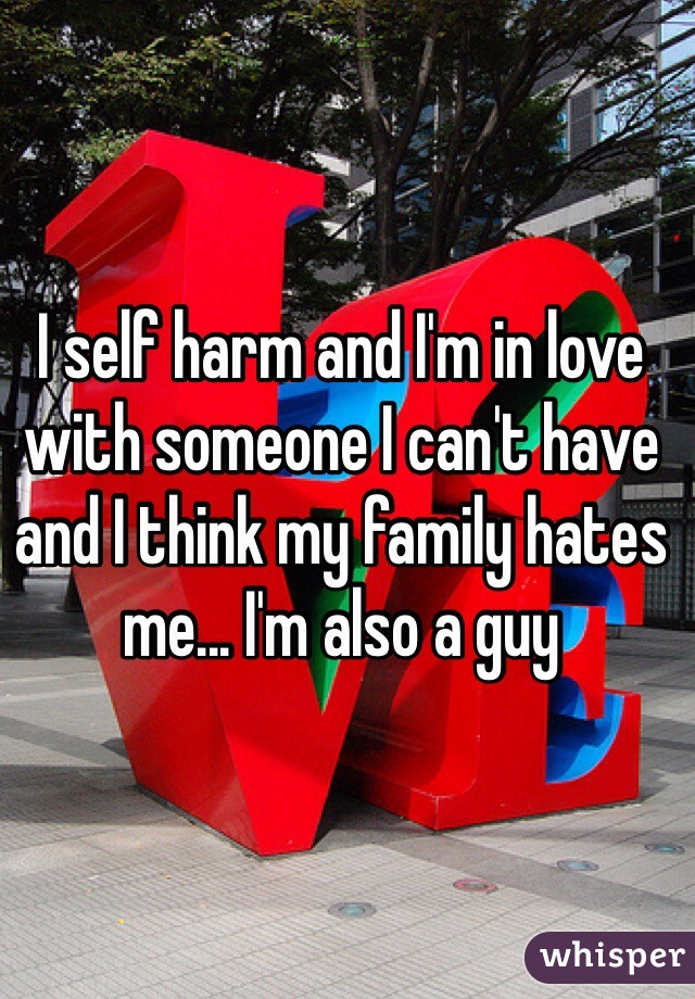 I self harm and I'm in love with someone I can't have and I think my family hates me... I'm also a guy