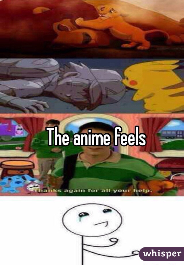 The anime feels