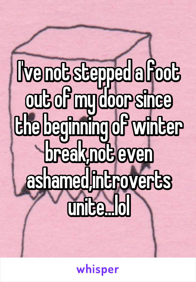 I've not stepped a foot out of my door since the beginning of winter break,not even ashamed,introverts unite...lol