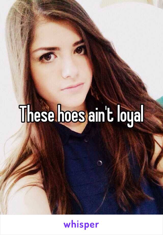 These hoes ain't loyal 