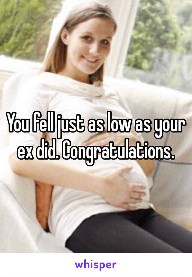 You fell just as low as your ex did. Congratulations. 