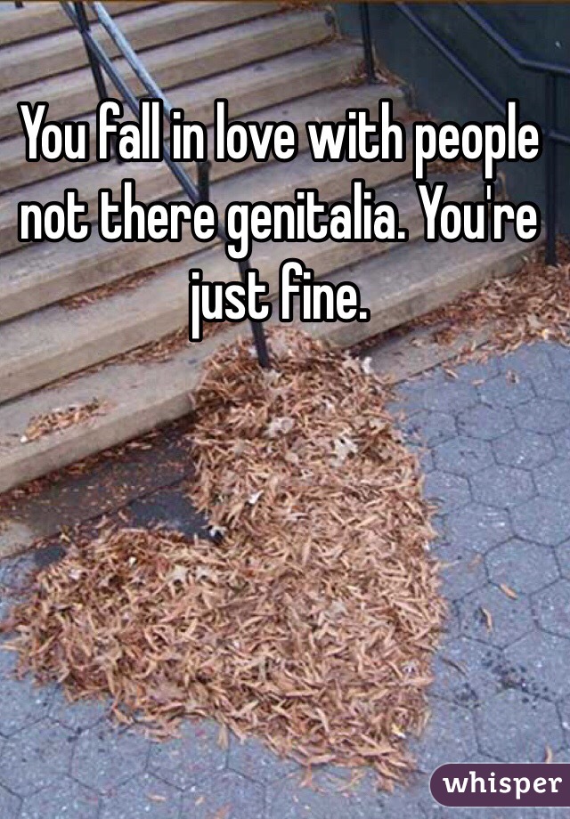 You fall in love with people not there genitalia. You're just fine.