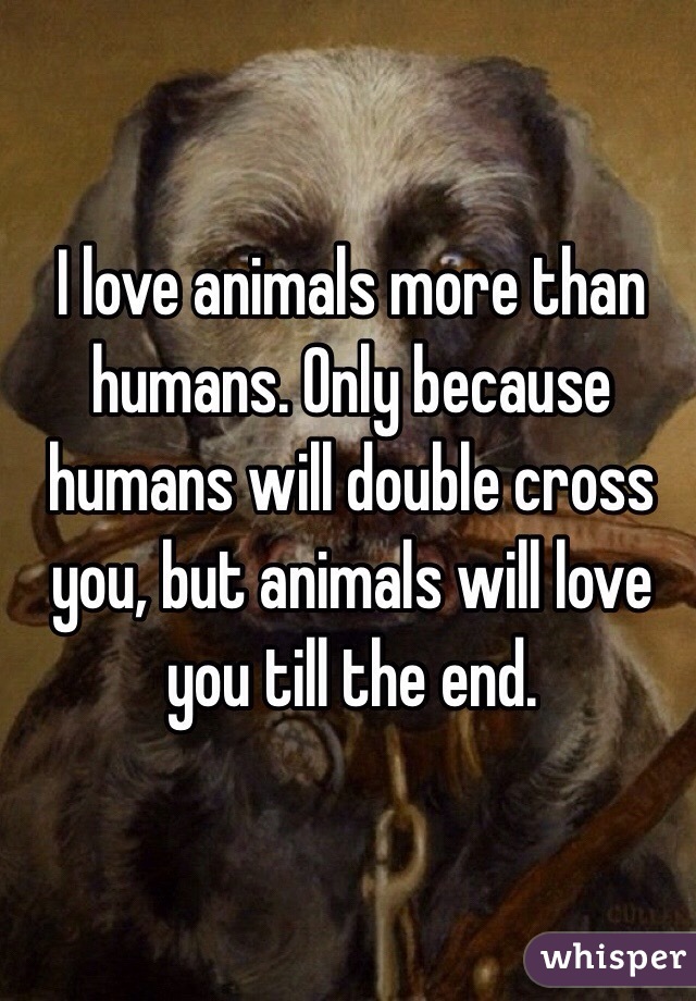 I love animals more than humans. Only because humans will double cross you, but animals will love you till the end. 