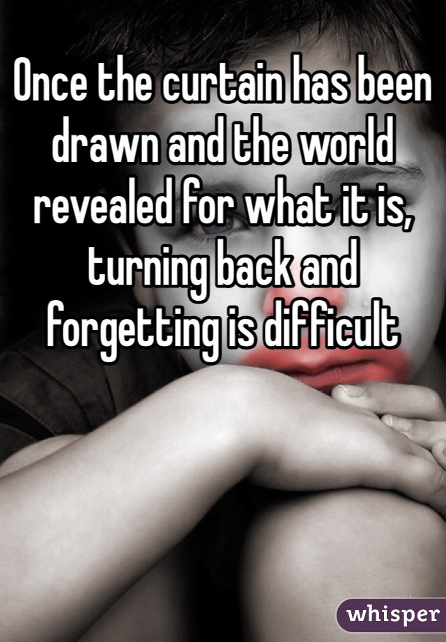 Once the curtain has been drawn and the world revealed for what it is, turning back and forgetting is difficult