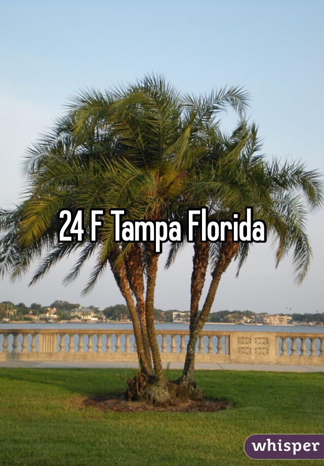 24 F Tampa Florida 