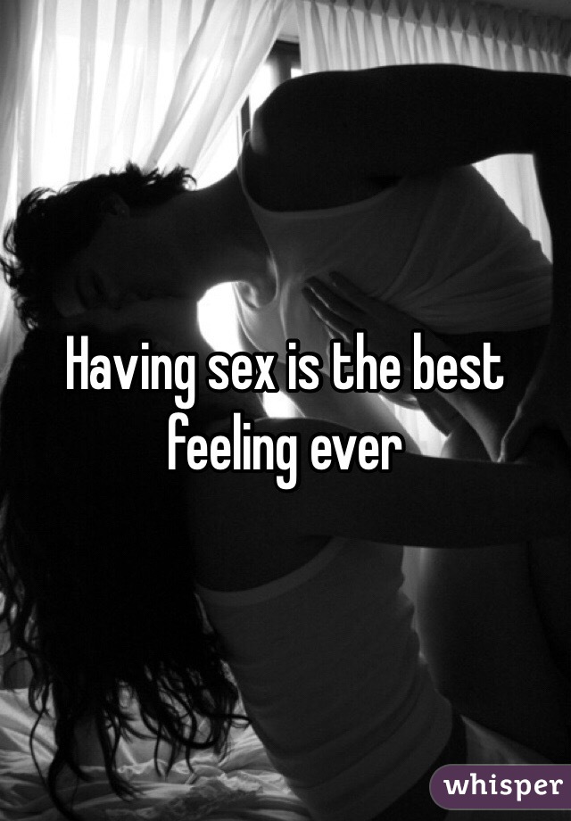 Having The Best Sex Ever 14