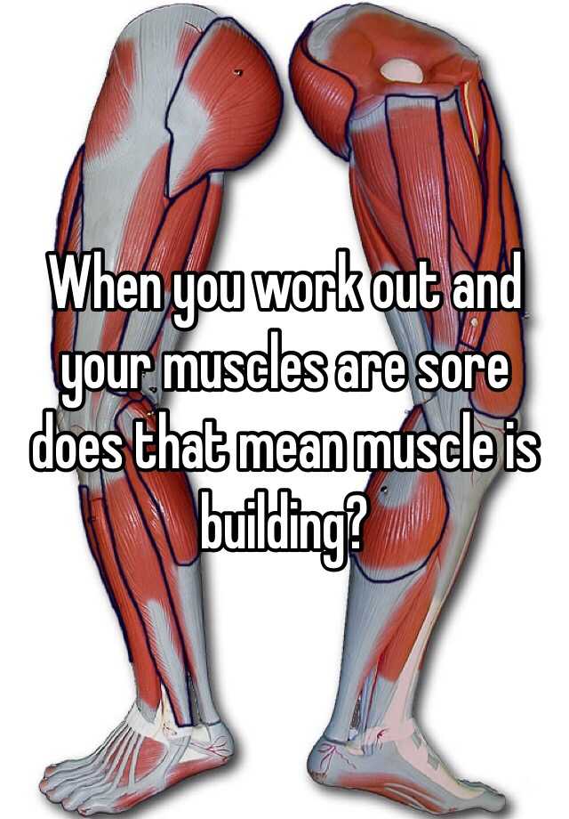 when-you-work-out-and-your-muscles-are-sore-does-that-mean-muscle-is