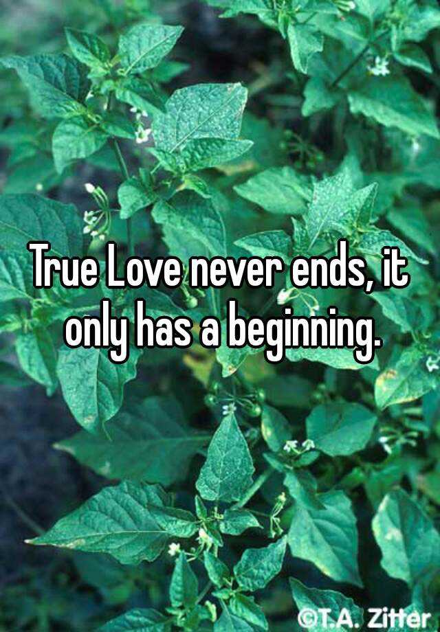 true-love-never-ends-it-only-has-a-beginning