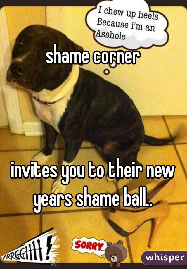 shame corner



invites you to their new years shame ball.. 