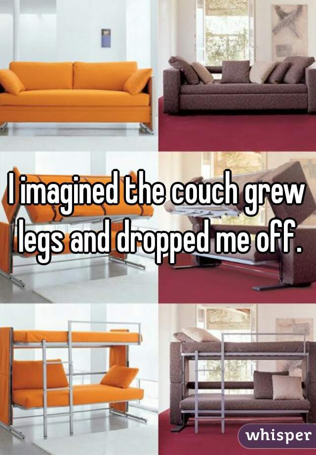 I imagined the couch grew legs and dropped me off.